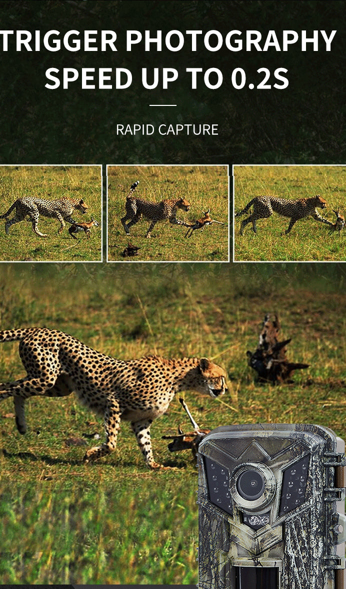 OG Outdoor - CameraTrail Camera HD